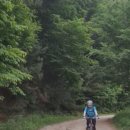 킹스톤모텔 이미지