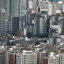 안나파크 이미지