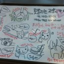 못말리는 고양이 이미지