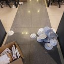 프리덤피시방 이미지