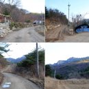 용화산들꽃향기