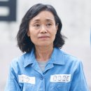 강애심 카카오 검색결과