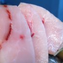 동경참치 이미지