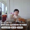 세븐일레븐고양원당로점 | 고양 아이랑 가볼만한곳 | 거위 있는 일산대형카페 물구리빵집 후기