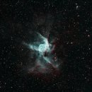 성운환경 | 240114_NGC2359, Thor’s Helmet (토르의 투구 성운)