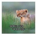 오렌지화장품