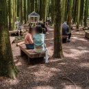 사려니숲길주차장 이미지