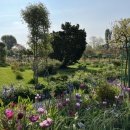 모네의정원 이미지