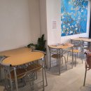 고양이눈 | 수원고양이카페 무릉냥원 후기, 고양이와 눈맞춤하던 힐링 시간