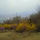 망우산 2보루 이미지