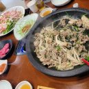 88철판오리 이미지