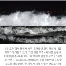 해일통상 이미지