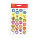 바른개 생활 이미지