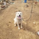 도고농장 이미지