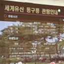 신문왕릉앞금어당 | 스마트관광신문 | 빗소리에 젖어드는 왕의 숲, 구리 ‘동구릉’