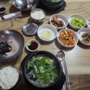 장수복어 이미지