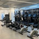 바디플렉스짐 개화산역점 이미지