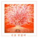 신을 벗었네 - 택영//01-신을 벗었네 (복음성가 CCM 신보 미리듣기 MP3 가사) 이미지