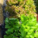 불암농장 이미지