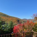 태백산감자탕부대찌개 이미지