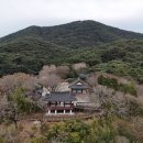 터미널관광안내소 | 통영 여행코스 통영유람선터미널 한산도 제승당 섬여행