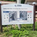 도황경로당 Daum카페