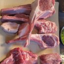 번양목장 이미지