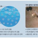 에비앙 등 유명 생수에서 미세 플라스틱 검출 이미지