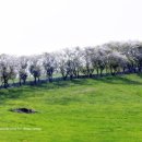 서산농장 이미지