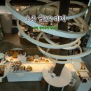 숲속동물병원 | 오산 엘토브 카페 숲속 반려동물 운동장 야외테라스 후기