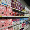 더벤티 김천혁신점 | 율곡동 강아지용품 천국, 24시 신상매장 제대로 털고 온 방문후기 펫마트 김천혁신도시점