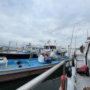 대야도항 이미지