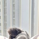 나에게 온날 이미지