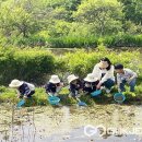 행정초교 병설유치원 이미지