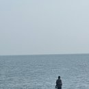 기리기리 풀빌라 | 울산 감성숙소 오션뷰 독채 풀빌라 추천, 기리기리 풀빌라 가족룸 가격, 후기