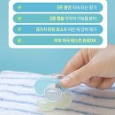 (캡슐세제 추천) 채령 채연 자매도 쓰는 캡슐세제 | 소소이지 캡슐세제 솔직후기