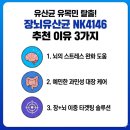 4146 | 유산균 효과 못 느낀 사람에게 장뇌유산균 NK4146이 추천되는 이유