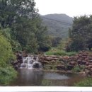 도리원부분정비 이미지