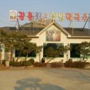 강릉해변 메밀막국수 이미지