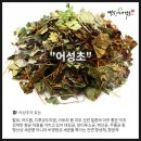 화산영농조합법인 이미지