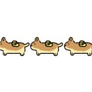 더조은동물병원 이미지