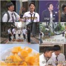 청춘도시투어 이미지