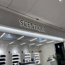 센티크IFC몰점