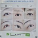 페브뷰티