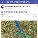 전역자의 예초 알바 이미지