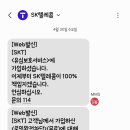 SK텔레콤 유심보호서비스 가입시 발송 문자 이미지