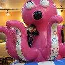 타요방방 이미지