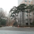 대치동공인중개사사무소 이미지