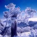 우리 눈꽃 신령(雪花 神靈;SnowFlake Holy Spirit)으로 다시 만나요 이미지