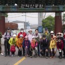 장미꽃길 1 이미지